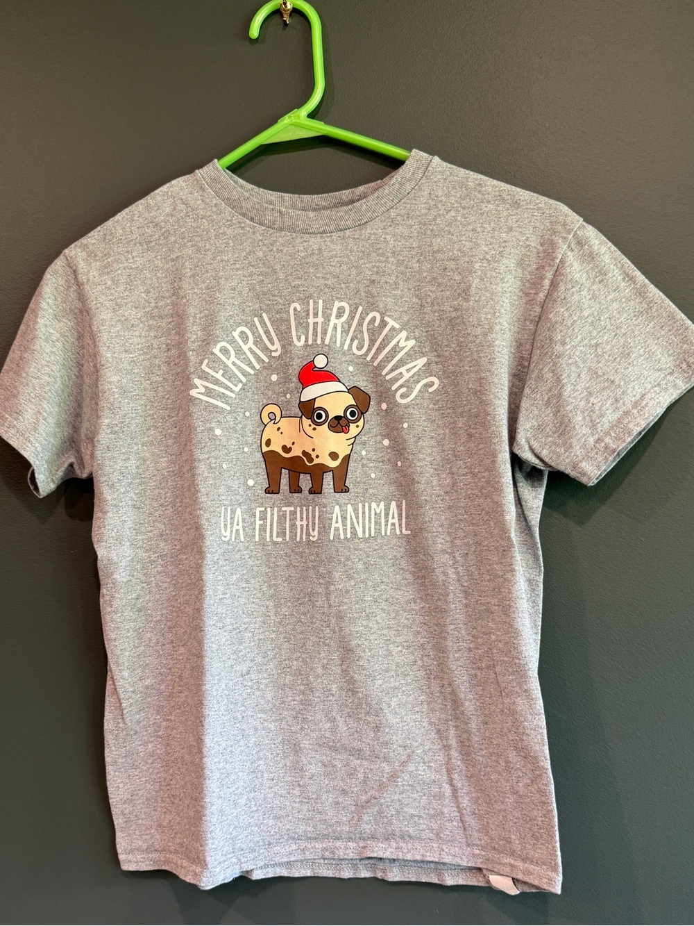 Kids Gray Christmas Pug Graphic Tee